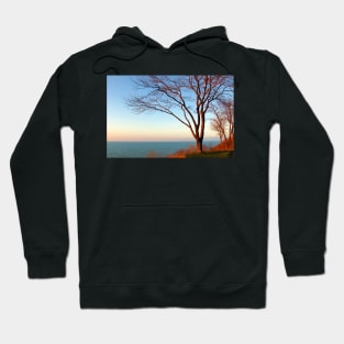 Sunset with the tree in setting sunlight. Hoodie